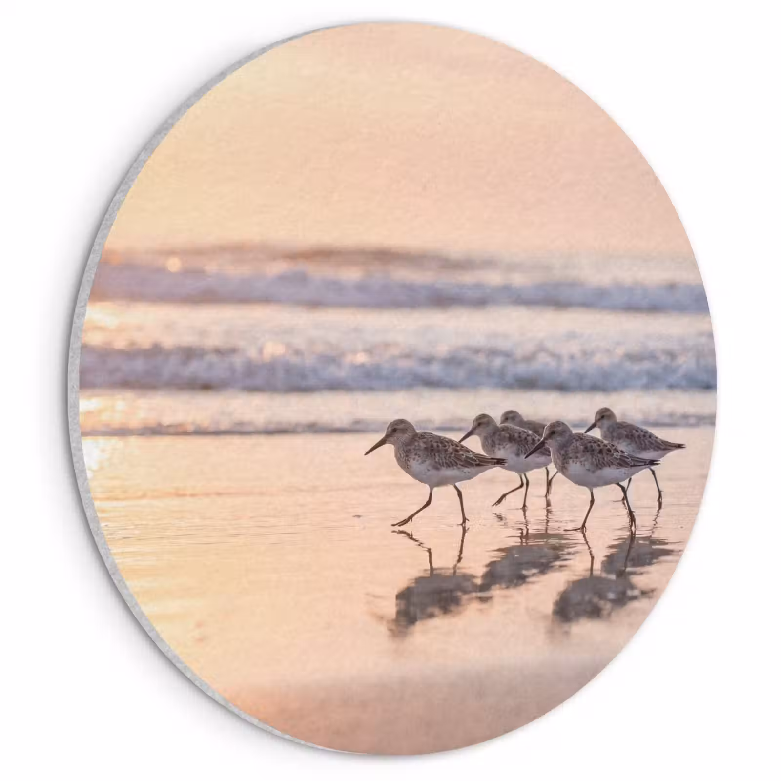 Akoestisch schilderij rond - Zee - Vogels - Strand — 1