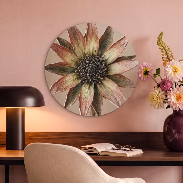Akoestisch schilderij rond - Droogbloem - Protea - Vintage - Beige - Rustiek — 2
