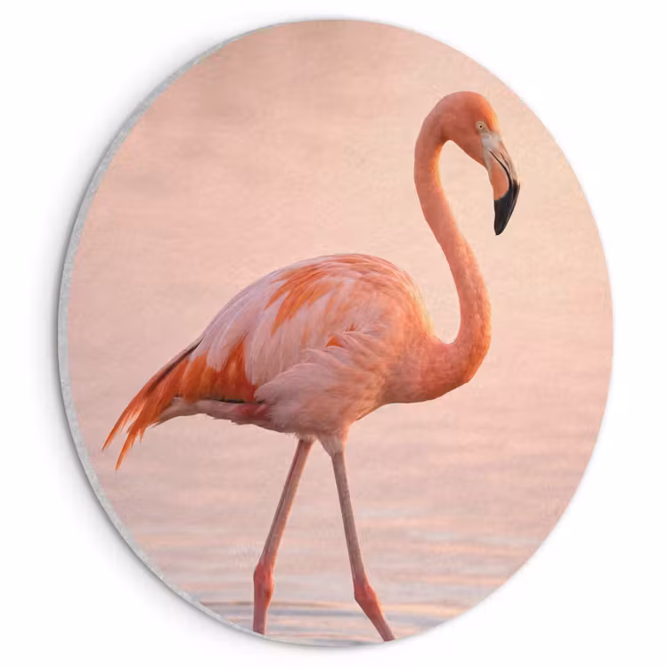 Akoestisch schilderij rond - Flamingo - Water - Roze — 1