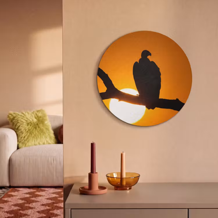 Akoestisch schilderij rond - Gier - Tak - Zon - Oranje — 3