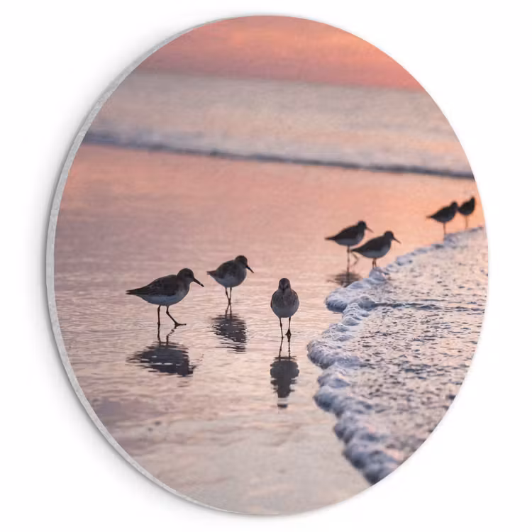 Akoestisch schilderij rond - Meeuwen - Strand - Zee - Roze — 1