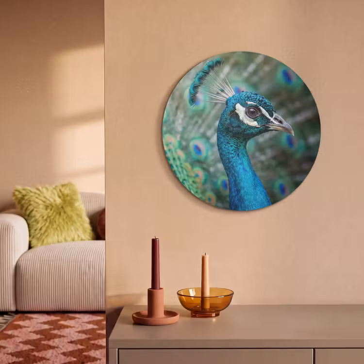 Akoestisch schilderij rond - Pauw - Veren - Blauw — 3