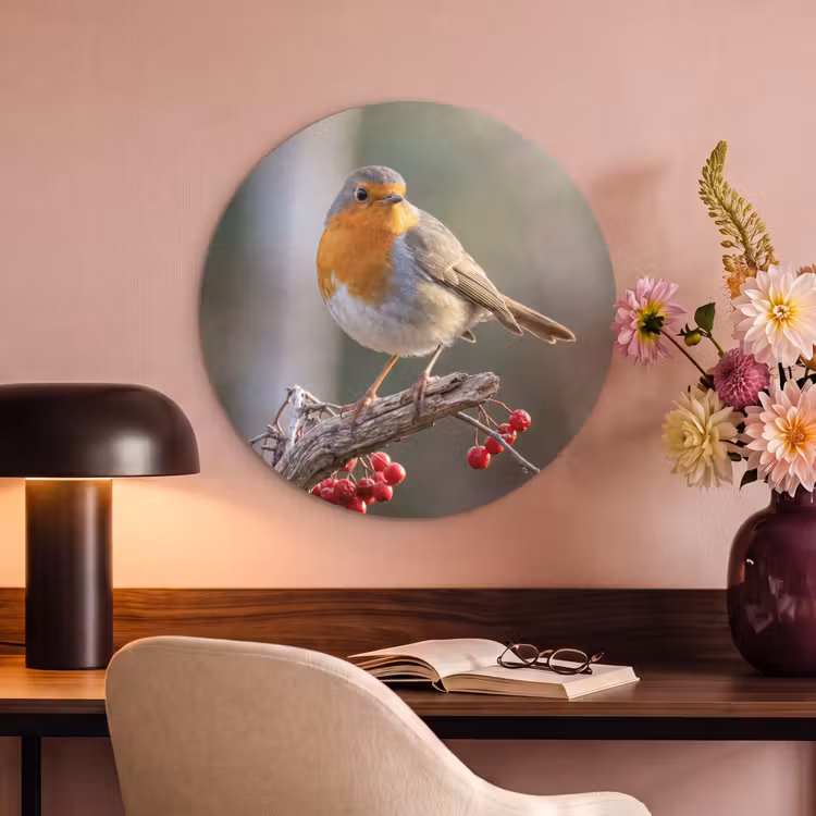 Akoestisch schilderij rond - Roodborst - Tak - Bessen - Natuur — 2