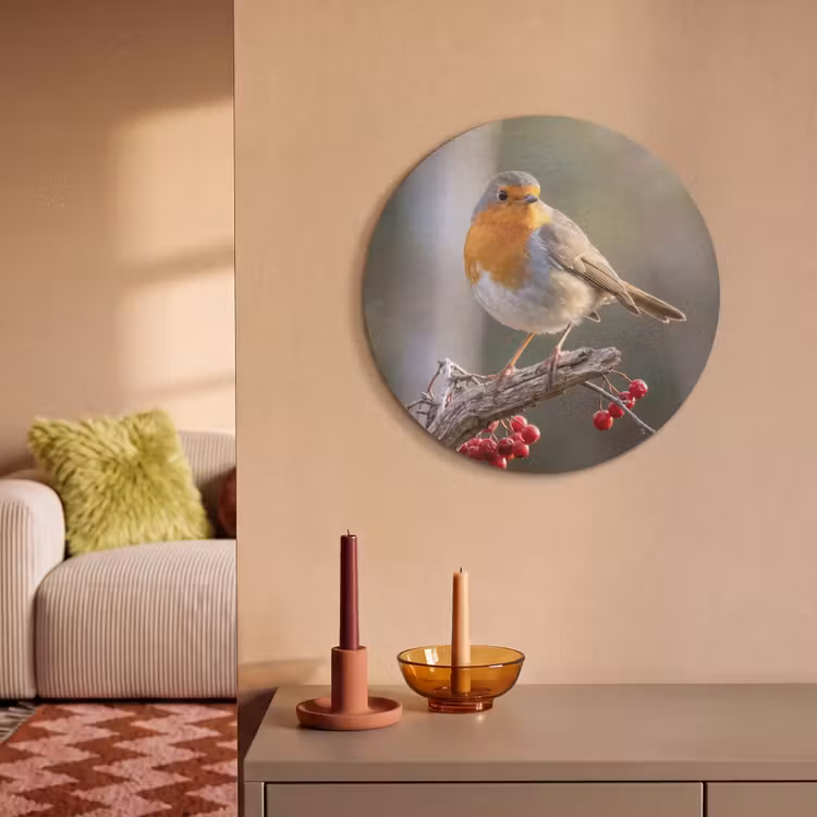 Akoestisch schilderij rond - Roodborst - Tak - Bessen - Natuur — 3