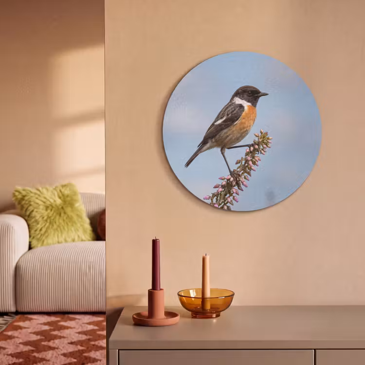 Akoestisch schilderij rond - Roodborsttapuit - Heide - Paars - Natuur - Sfeervol — 3