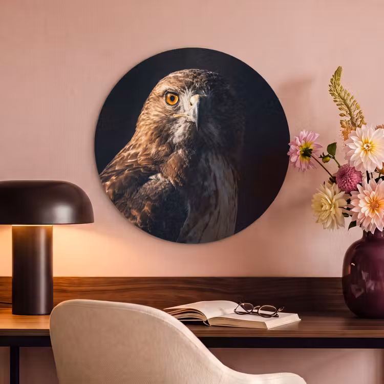 Akoestisch schilderij rond - Roofvogel - Buizerd - Bruin — 2