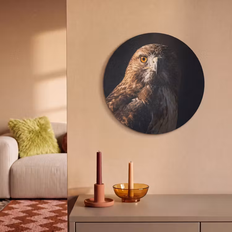 Akoestisch schilderij rond - Roofvogel - Buizerd - Bruin — 3
