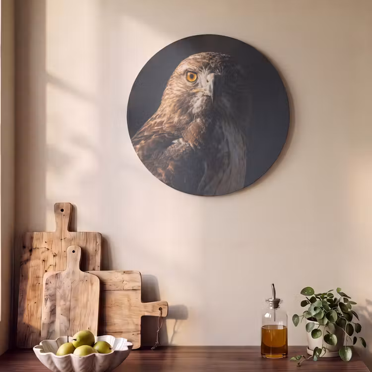Akoestisch schilderij rond - Roofvogel - Buizerd - Bruin — 4