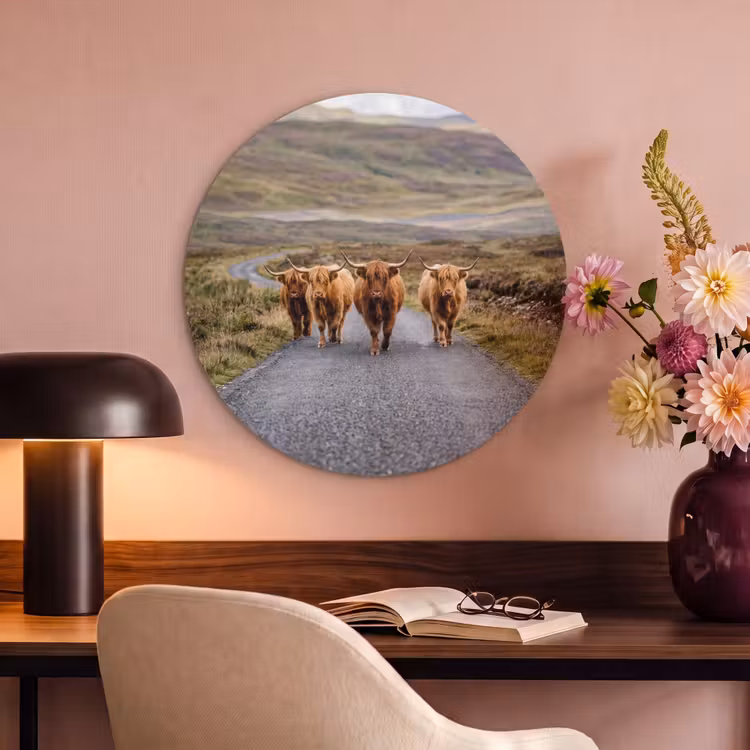 Akoestisch schilderij rond - Schotse Hooglanders - Weg - Landschap - Kudde — 2