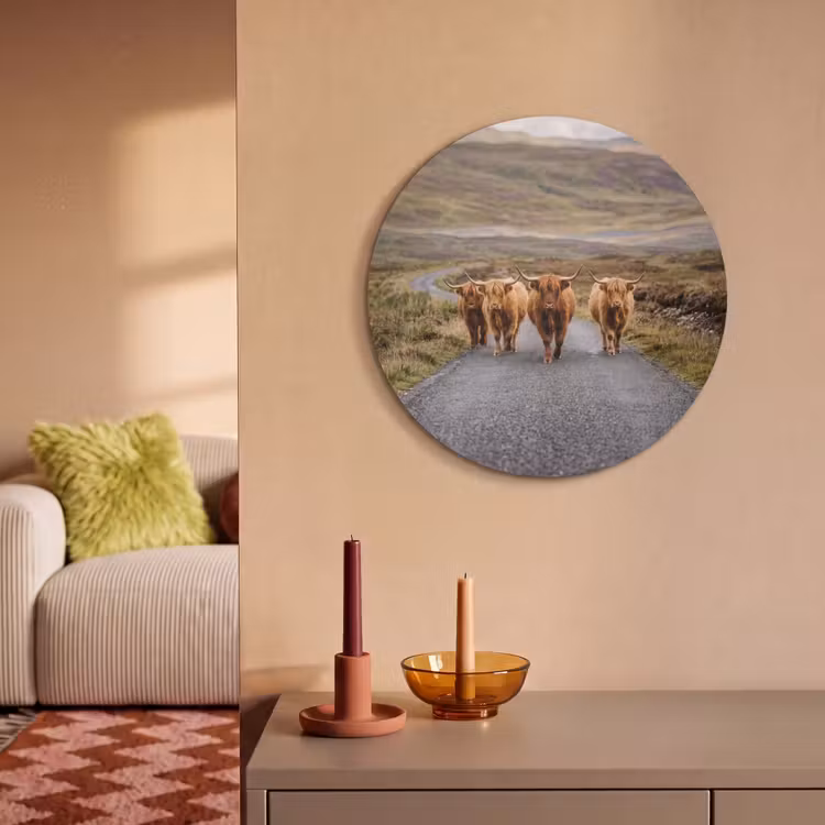 Akoestisch schilderij rond - Schotse Hooglanders - Weg - Landschap - Kudde — 3