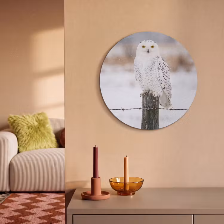 Akoestisch schilderij rond - Sneeuwuil - Hek - Sneeuw - Wit — 3