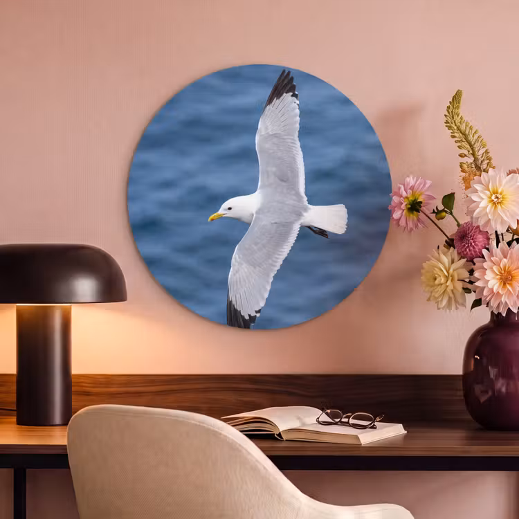 Akoestisch schilderij rond - Zeemeeuw - Oceaan - Blauw — 2