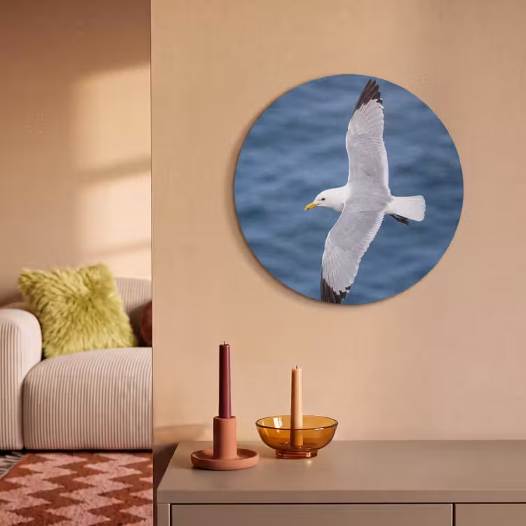 Akoestisch schilderij rond - Zeemeeuw - Oceaan - Blauw — 3