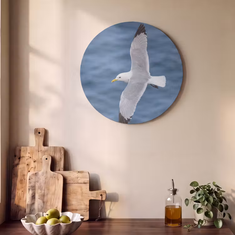 Akoestisch schilderij rond - Zeemeeuw - Oceaan - Blauw — 4