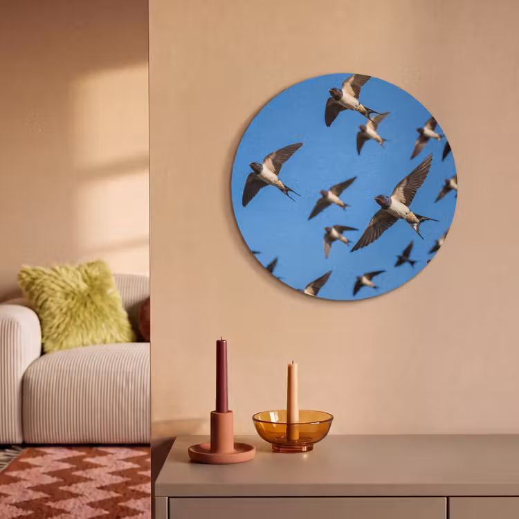 Akoestisch schilderij rond - Zwaluwen - Vliegen - Blauw — 3