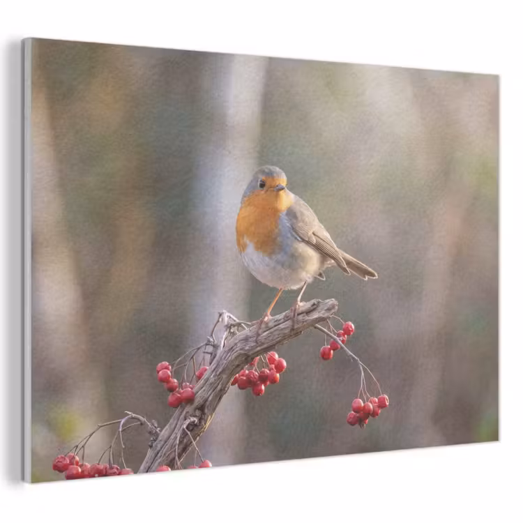 Akoestisch schilderij - Roodborst - Tak - Bessen - Natuur — 1