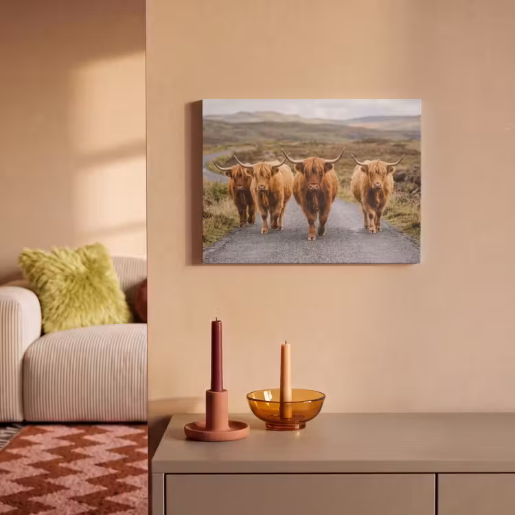 Akoestisch schilderij - Schotse Hooglanders - Weg - Landschap - Kudde — 2