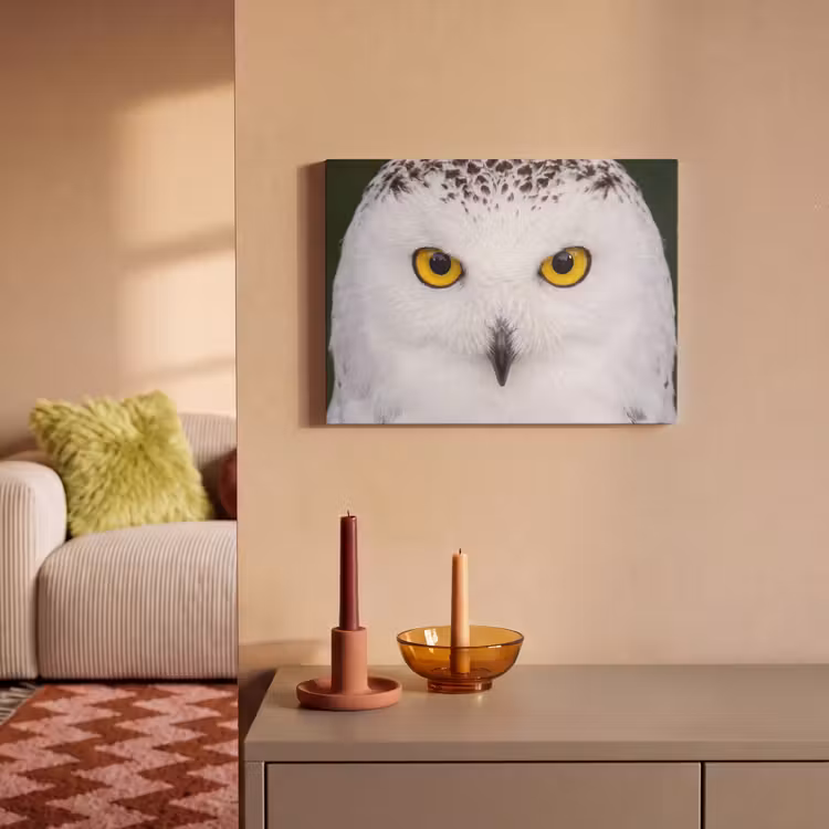 Akoestisch schilderij - Sneeuwuil - Portret - Geel — 2