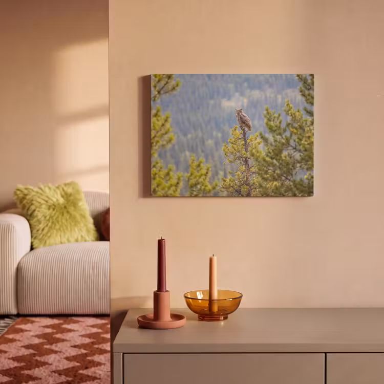 Akoestisch schilderij - Uil - Oehoe - Bomen - Natuur — 2