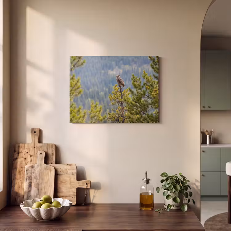 Akoestisch schilderij - Uil - Oehoe - Bomen - Natuur — 3