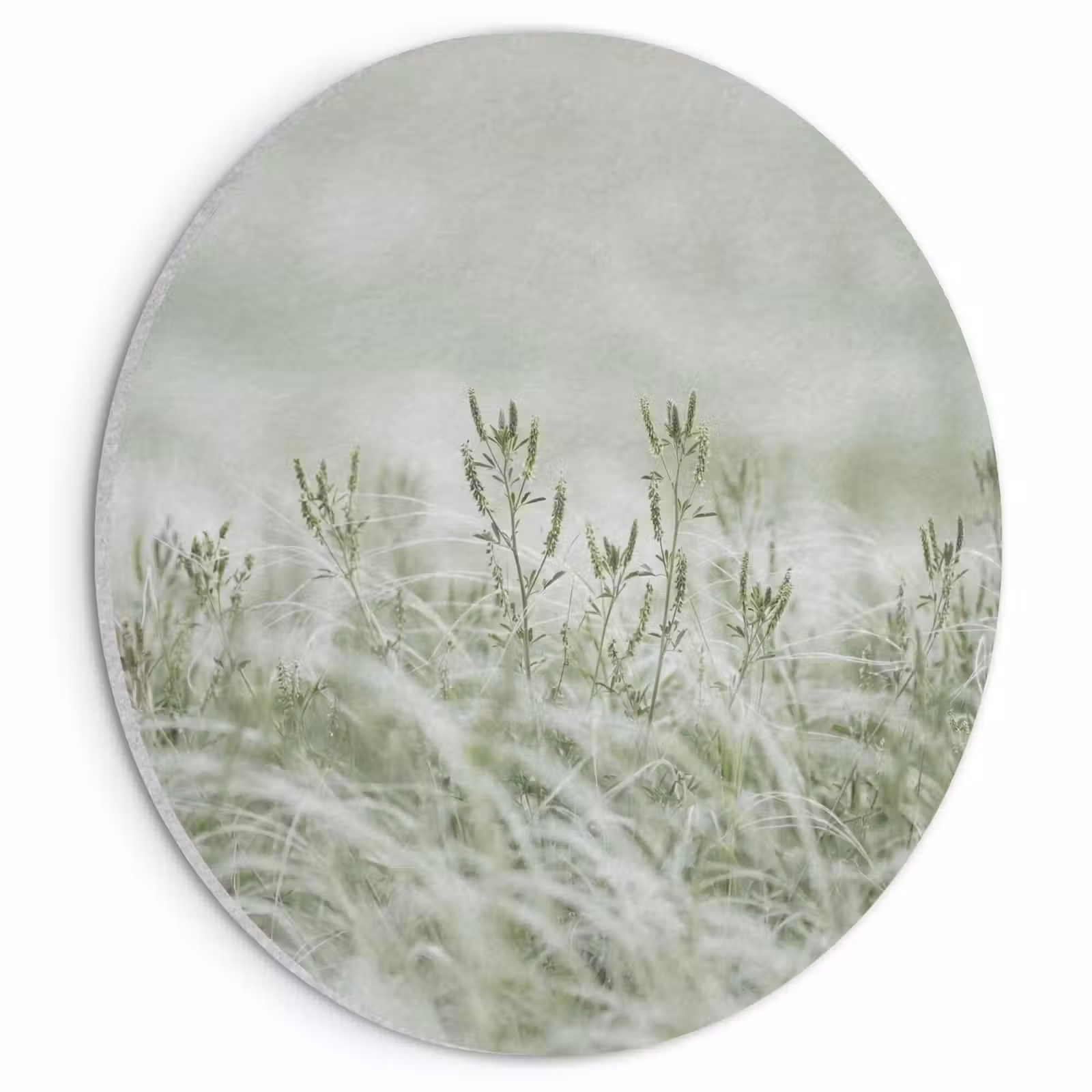 Akoestisch schilderij rond - Grassen - Minimalistisch - Groen — 1