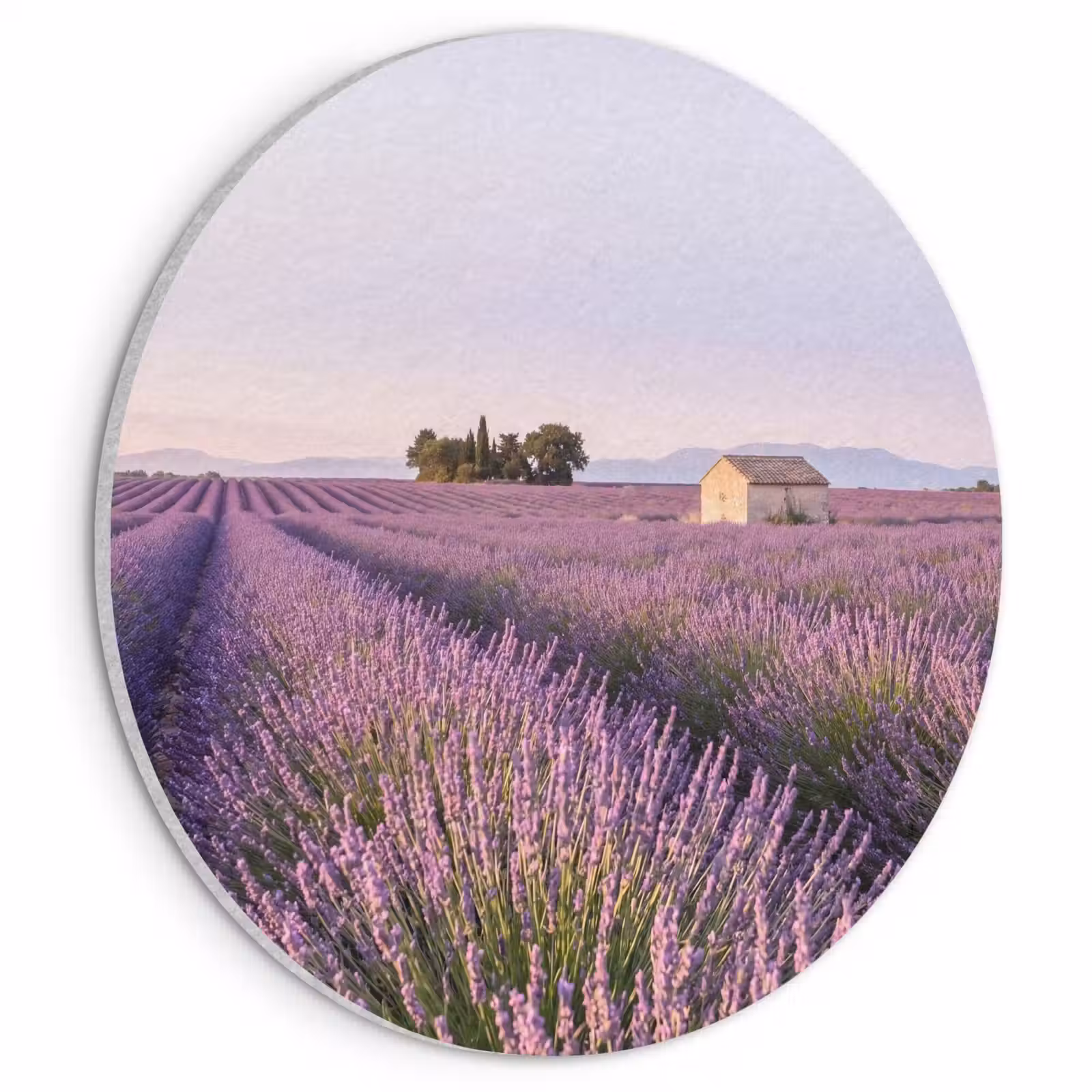 Akoestisch schilderij rond - Lavendel - Landschap - Sereen - Paars — 1