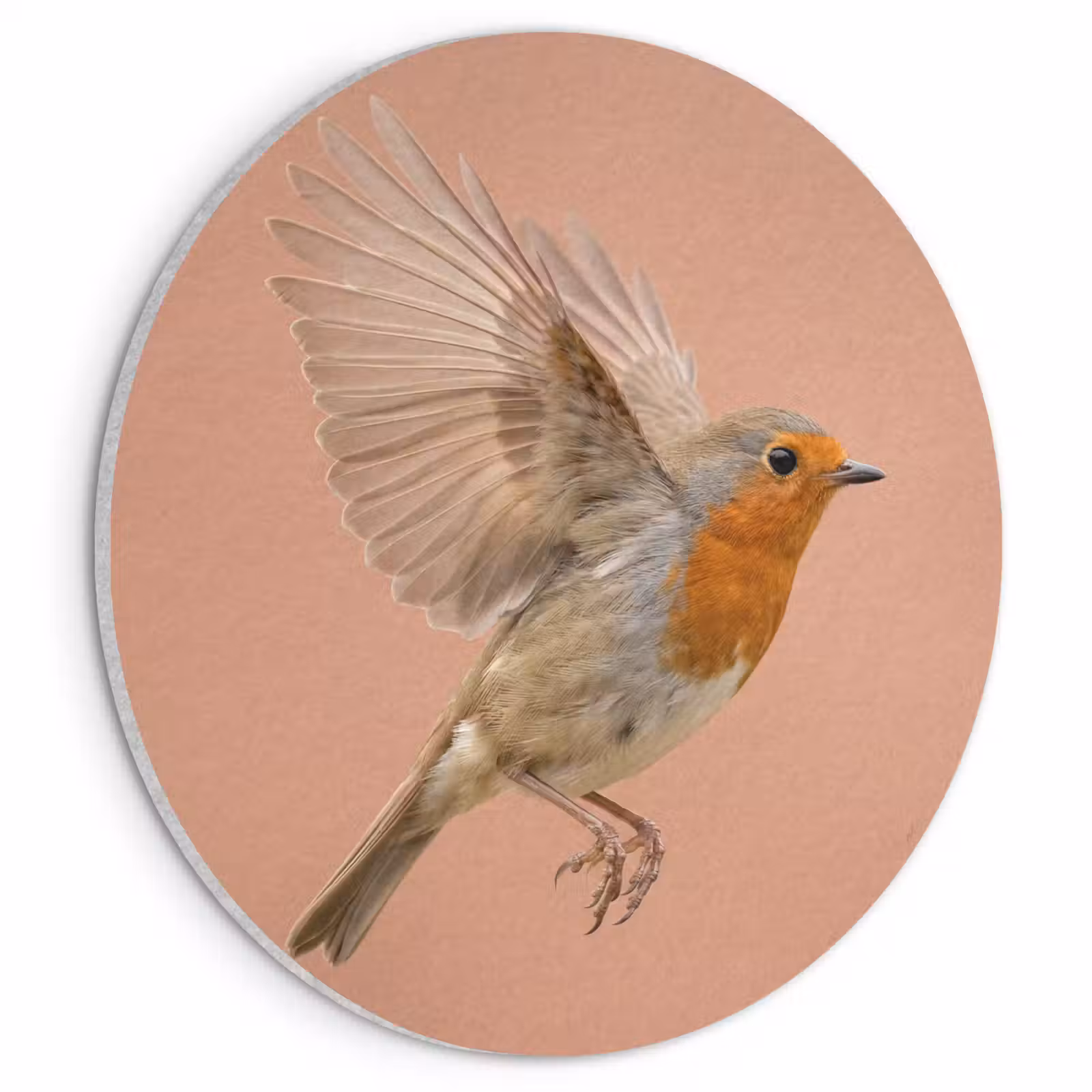 Akoestisch schilderij rond - Roodborst - Natuur - Roze — 1
