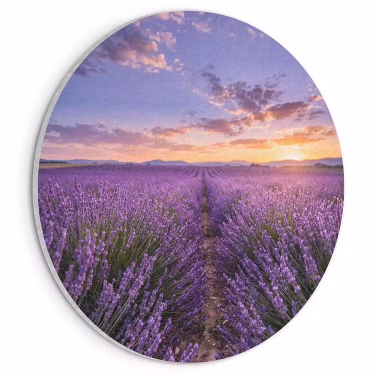 Akoestisch schilderij rond - Lavendel - Veld - Natuur - Paars — 1