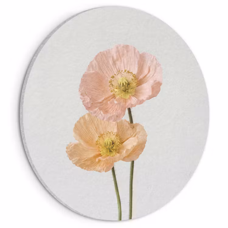 Akoestisch schilderij rond - Papavers - Botanisch - Roze — 1