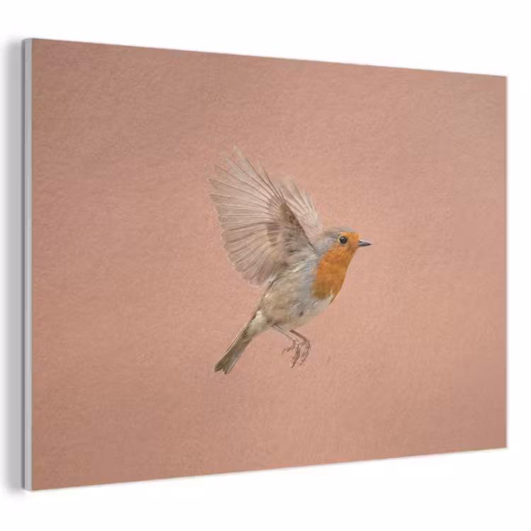 Akoestisch schilderij - Roodborst - Natuur - Roze — 1