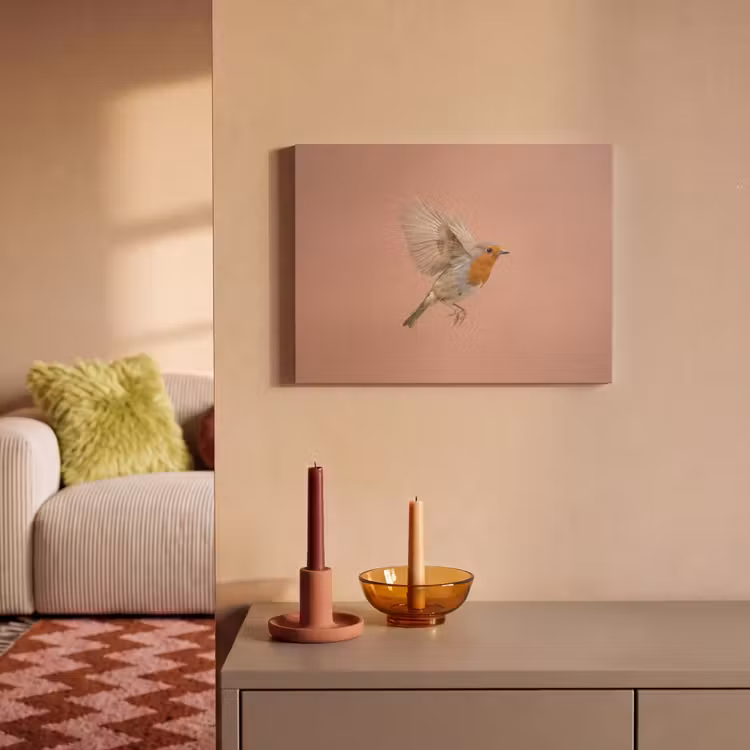 Akoestisch schilderij - Roodborst - Natuur - Roze — 2