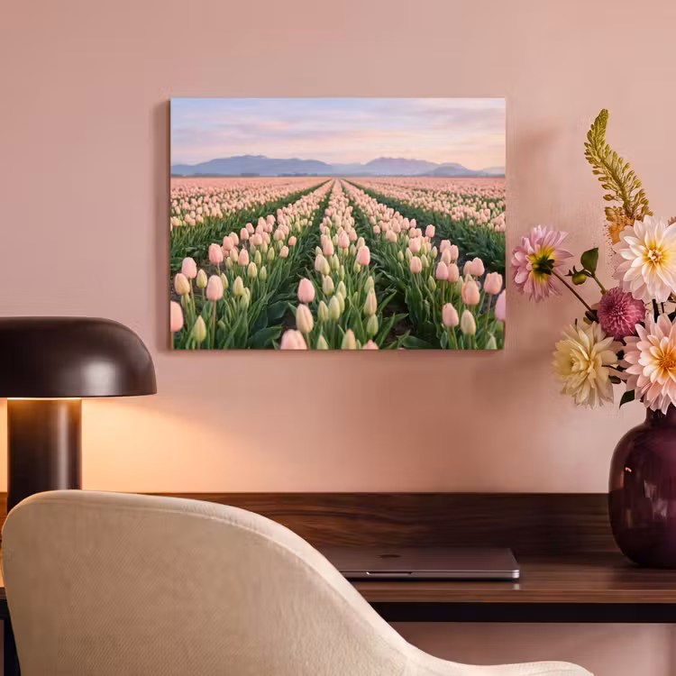 Akoestisch schilderij - Tulpen - Landschap - Roze — 4