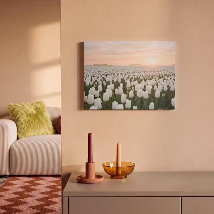 Akoestisch schilderij - Tulpen - Landschap - Wit — 2