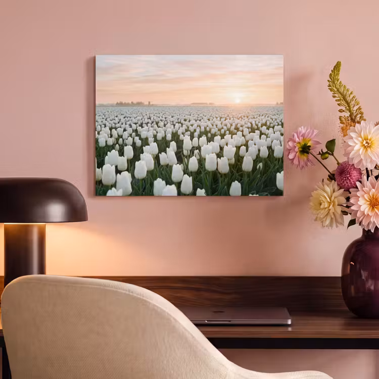 Akoestisch schilderij - Tulpen - Landschap - Wit — 4