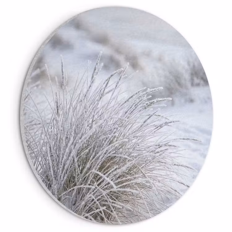 Akoestisch schilderij rond - Duinen - Sneeuw - Strand - Winter - Serene — 1