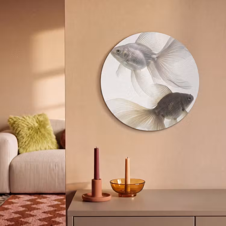 Akoestisch schilderij rond - Goudvissen - Modern - Wit — 3