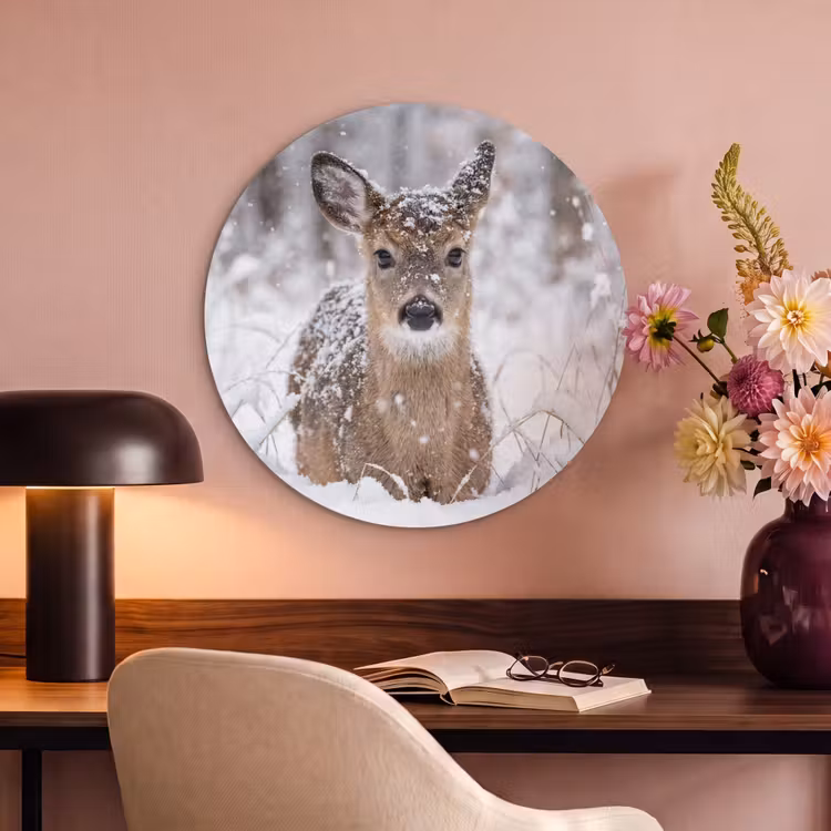 Akoestisch schilderij rond - Hert - Sneeuw - Bos - Dieren - Vertederend — 2