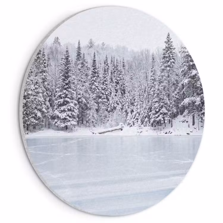 Akoestisch schilderij rond - Meer - Dennen - IJs - Winter - Rustgevend — 1