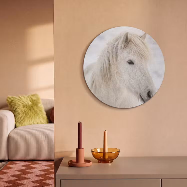 Akoestisch schilderij rond - Paard - Kop - Winter - Dieren - Wit — 3