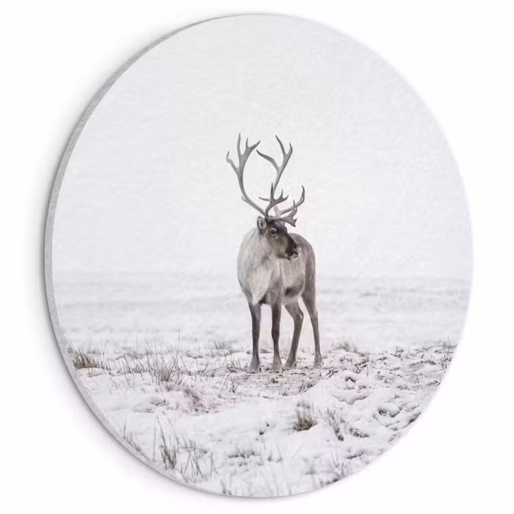 Akoestisch schilderij rond - Rendier - Gewei - Sneeuw - Winter — 1