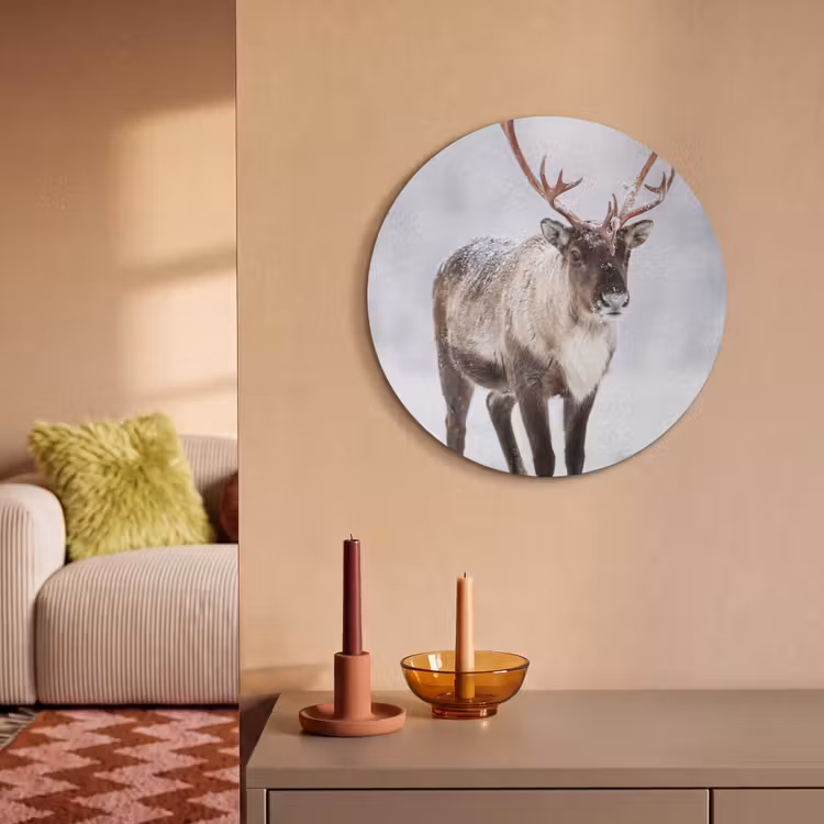 Akoestisch schilderij rond - Rendier - Gewei - Toendra - Sneeuw - Wild — 3