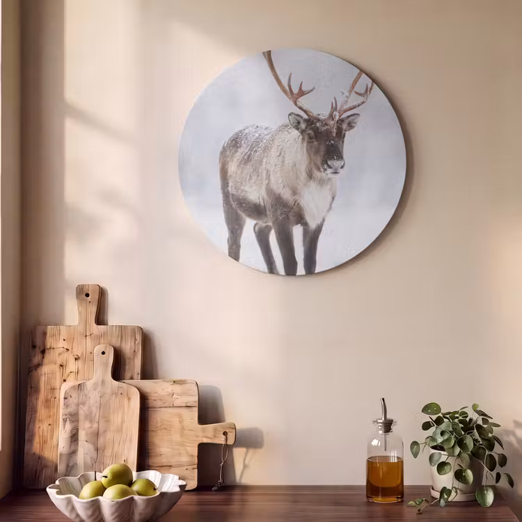 Akoestisch schilderij rond - Rendier - Gewei - Toendra - Sneeuw - Wild — 4