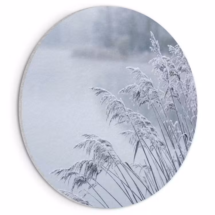 Akoestisch schilderij rond - Riet - Bevroren - Winter - Natuur — 1