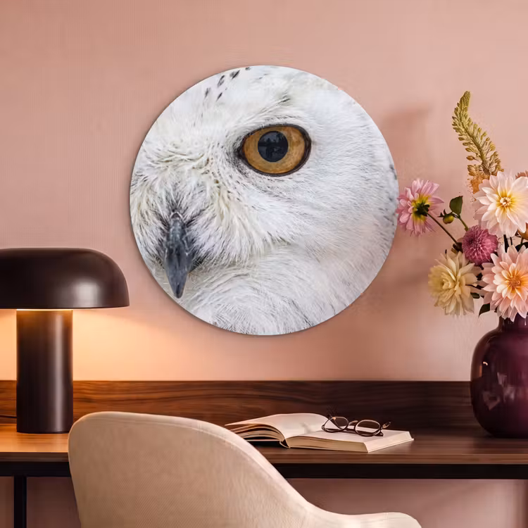 Akoestisch schilderij rond - Sneeuwuil - Oog - Wildlife - Wit — 2