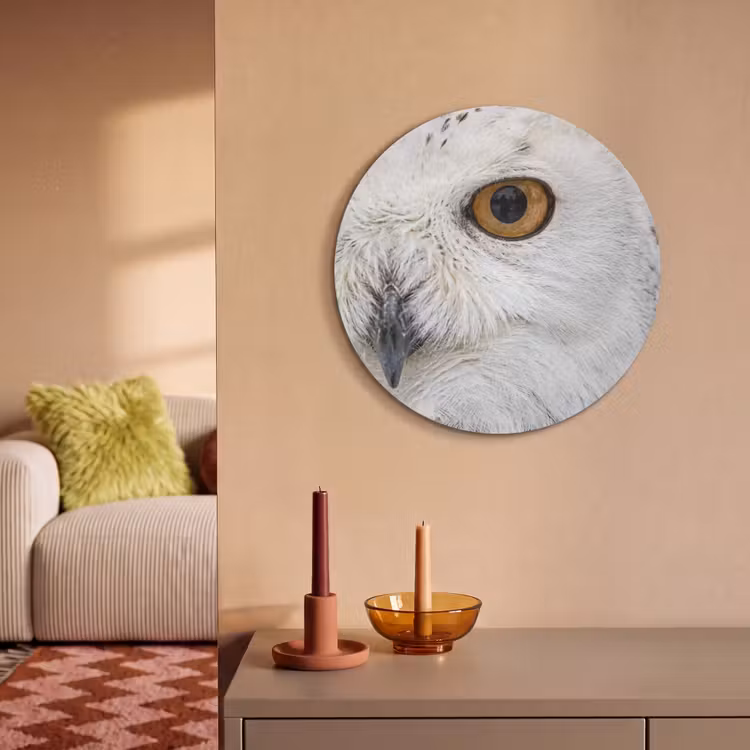 Akoestisch schilderij rond - Sneeuwuil - Oog - Wildlife - Wit — 3