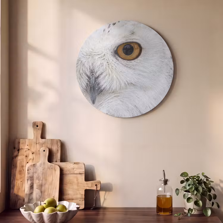 Akoestisch schilderij rond - Sneeuwuil - Oog - Wildlife - Wit — 4