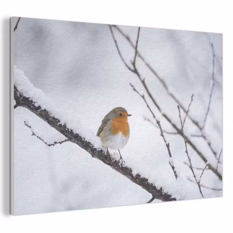 Akoestisch schilderij - Roodborstje - Tak - Sneeuw - Winter - Levendig — 1