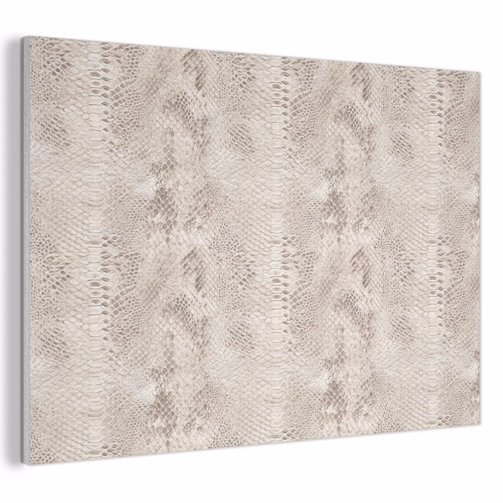 Akoestisch schilderij - Slang - Patroon - Beige — 1