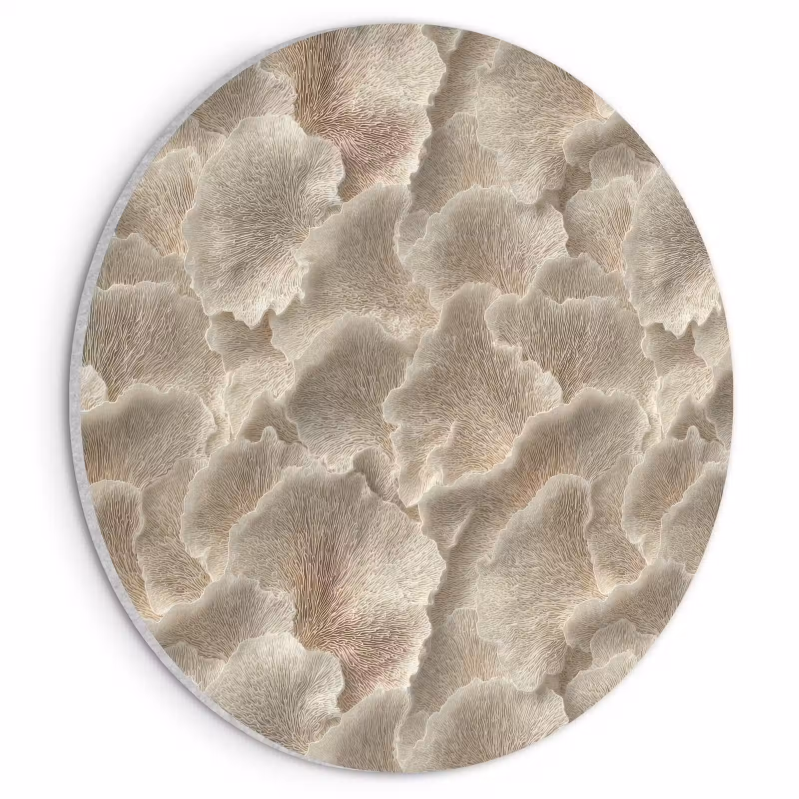 Akoestisch schilderij rond - Waaierstructuren - Beige - Vezeltextuur — 1