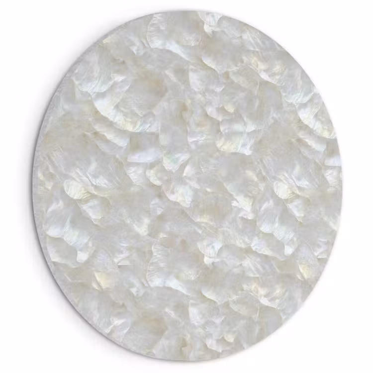 Akoestisch schilderij rond - Parelmoerglans - Wit - Schelp — 1